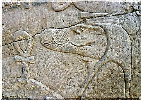 5 sacred animals of Ancient Egypt