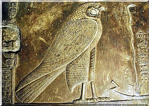 Hawk sacred bird in Ancient Egypt