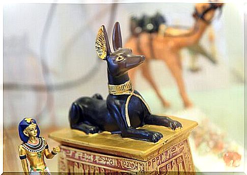 Egyptian dog on a sarcophagus