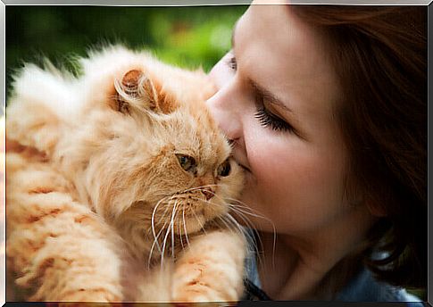 A cat saves its owner by warning her of a fire