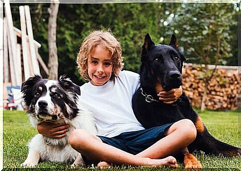 dogs and children