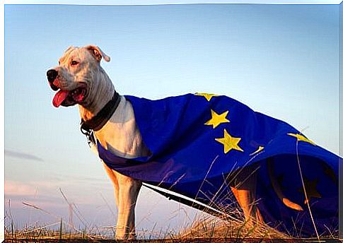 Animal welfare in the European Union