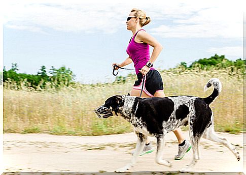 Canicross: playing sports with your dog