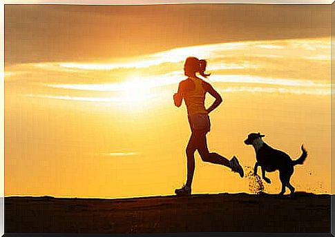 Dog and running: an exceptional combination