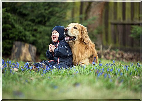 Dogs: here are the most suitable breeds for children