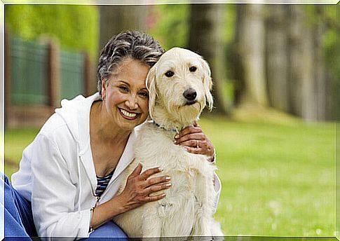 Dogs suitable for older people