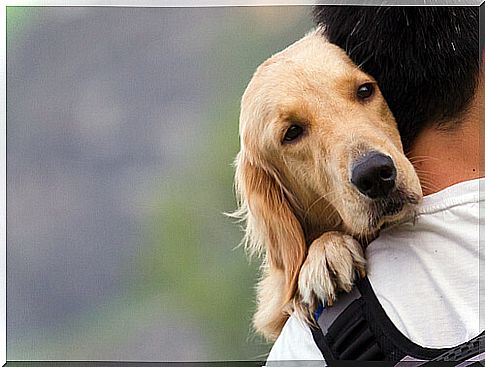 hug between dog and owner