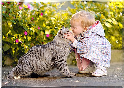 Five life lessons children learn from cats