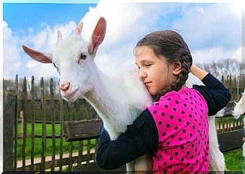 Little girl with goat.