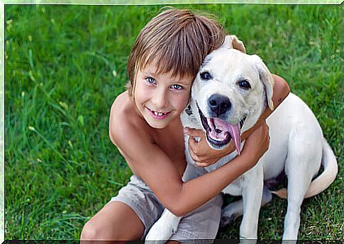 child with dog