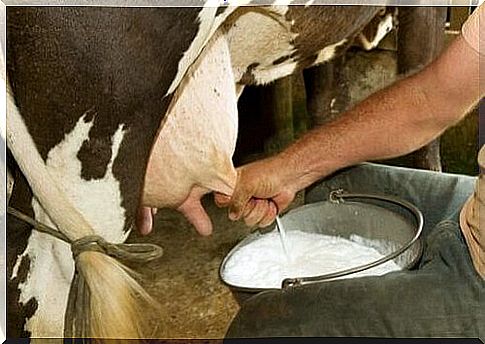 If raw milk is dangerous, why is it being sold?