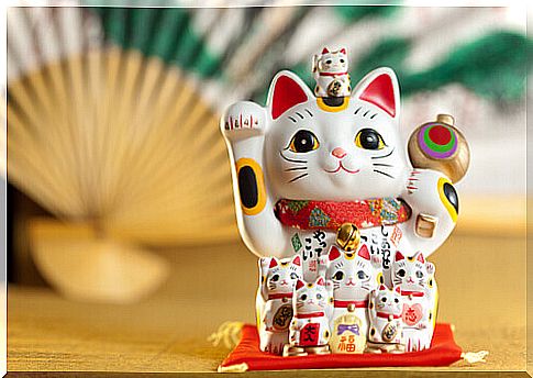 fortune cat 