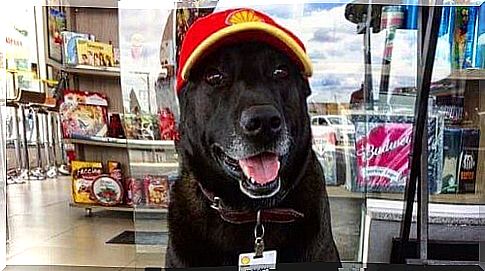 Negão, the best employee of a gas station