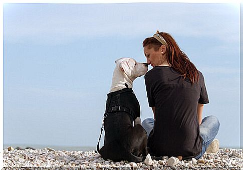 Scientists confirm that kissing your dog is good for health