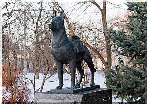 a statue dedicated to Search and Rescue Dogs