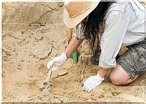 Archaeological excavations