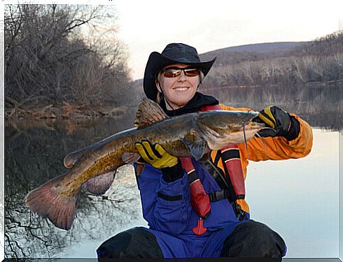 Angler who has caught a flathead catfish.