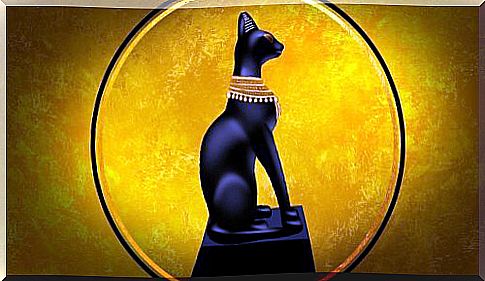 Cat of Ancient Egypt