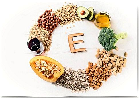 The importance of vitamin E for dogs and cats