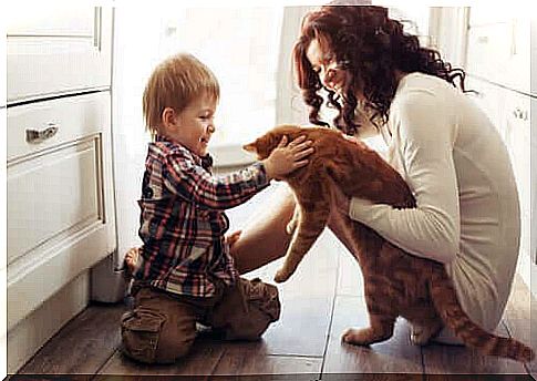 The influence of pets on human life