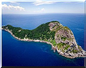 Queimada Grande or Snake Island.