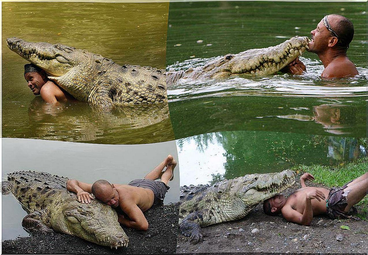 The surprising friendship between a man and a crocodile