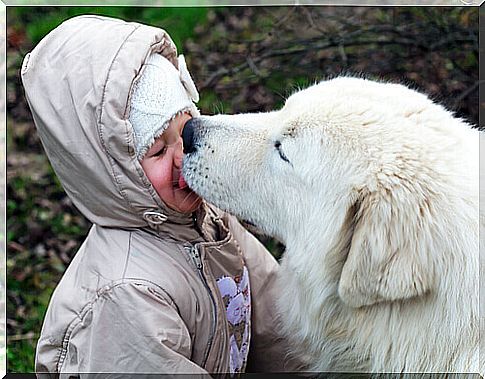 What better care than a puppy that licks our face?