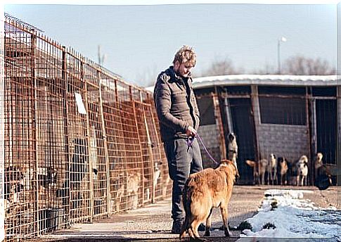 volunteer with dog on a leash 