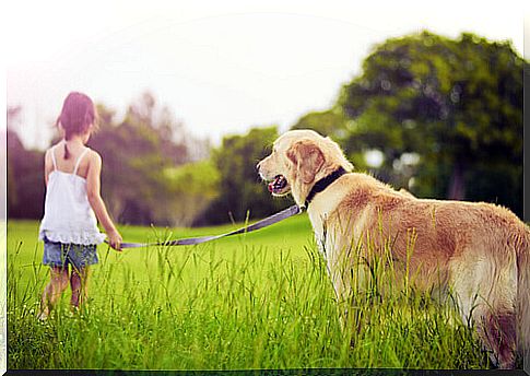 What if my child wants to adopt a dog?