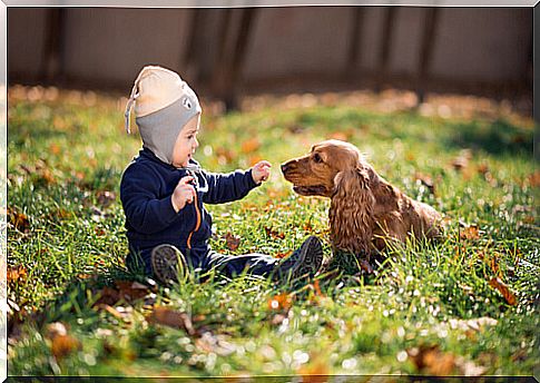 child-and-dog