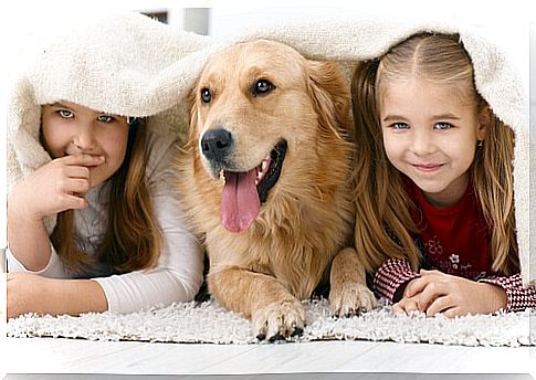 labrador-with-children